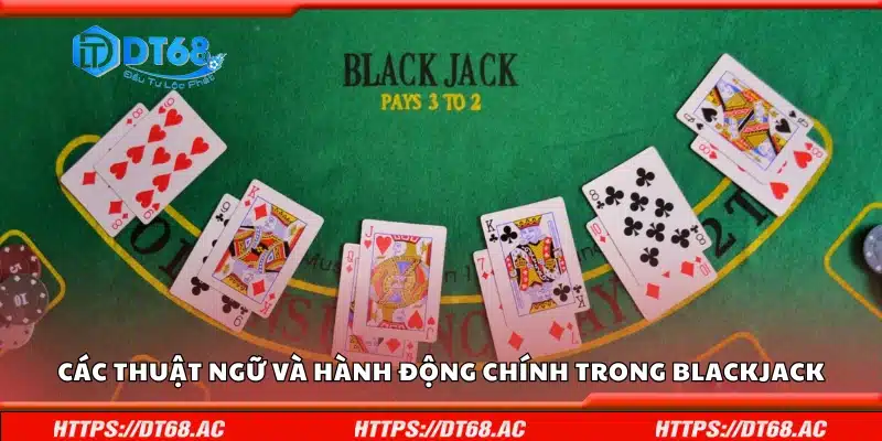 Một số thuật ngữ và hành động chính