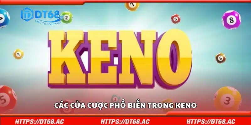 Một số cửa cược phổ biến trong Keno