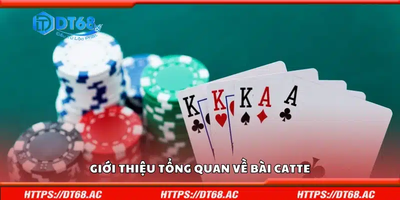 Tổng quan về bài Catte