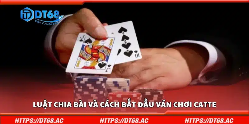 Quy tắc chia bài và cách bắt đầu ván chơi Catte