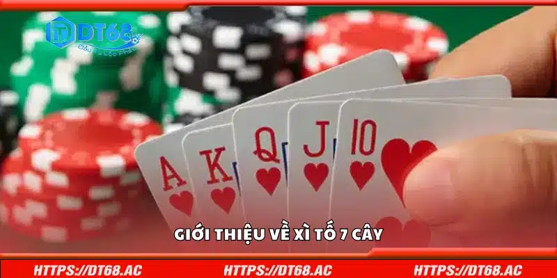 Tổng quan về Xì Tố 7 Cây