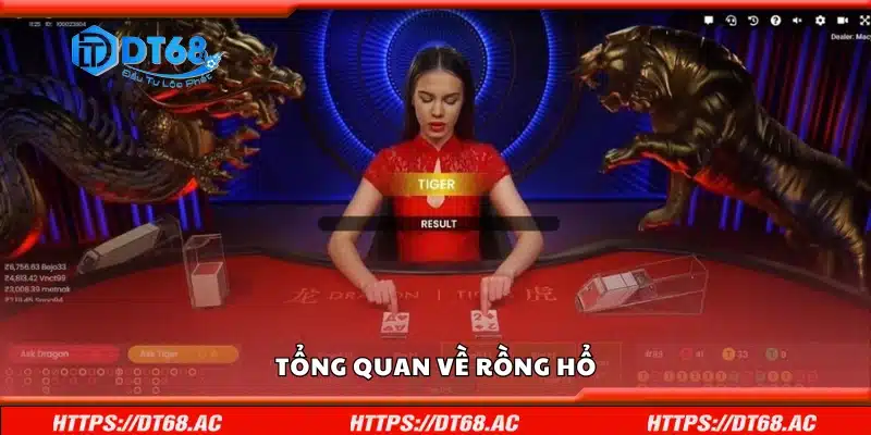 Tìm hiểu tổng quan về Rồng Hổ