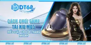 Cách chơi game Tài Xỉu MD5 – Hiểu luật chơi dễ thắng nhanh