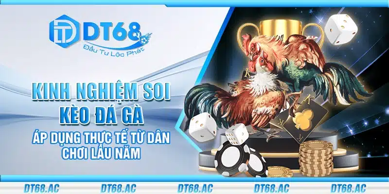 Kinh nghiệm soi kèo đá gà – Áp dụng thực tế từ dân chơi lâu năm