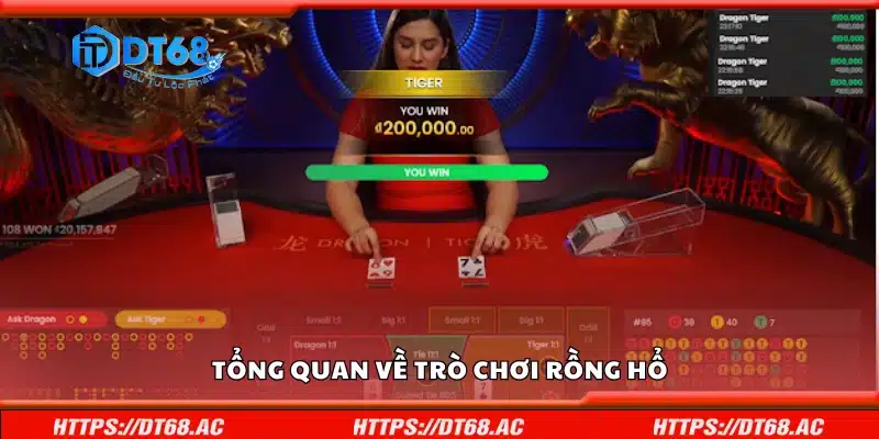 Tổng quan về trò chơi Rồng Hổ