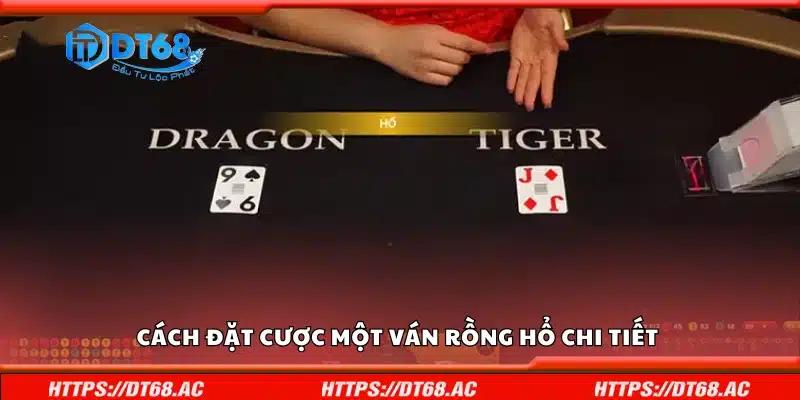 Hướng dẫn đặt cược một ván Rồng Hổ chi tiết