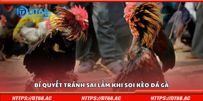 Một số bí quyết tránh sai lầm khi soi kèo đá gà