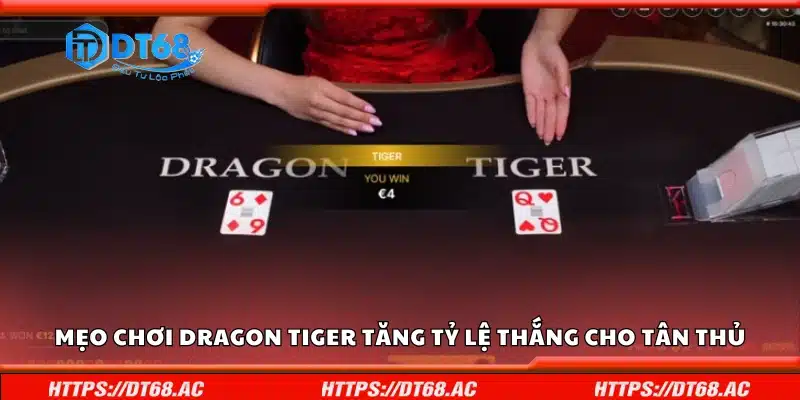 Mẹo chơi Dragon Tiger tăng tỷ lệ thắng cho tân thủ