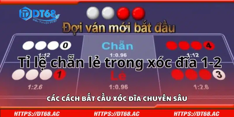 Hướng dẫn cách bắt cầu xóc đĩa chuyên sâu