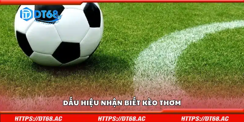 Một số dấu hiệu nhận biết kèo thơm