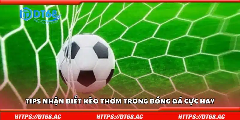 Tips nhận biết kèo thơm trong bóng đá cực hay